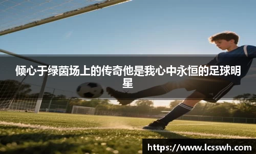 倾心于绿茵场上的传奇他是我心中永恒的足球明星